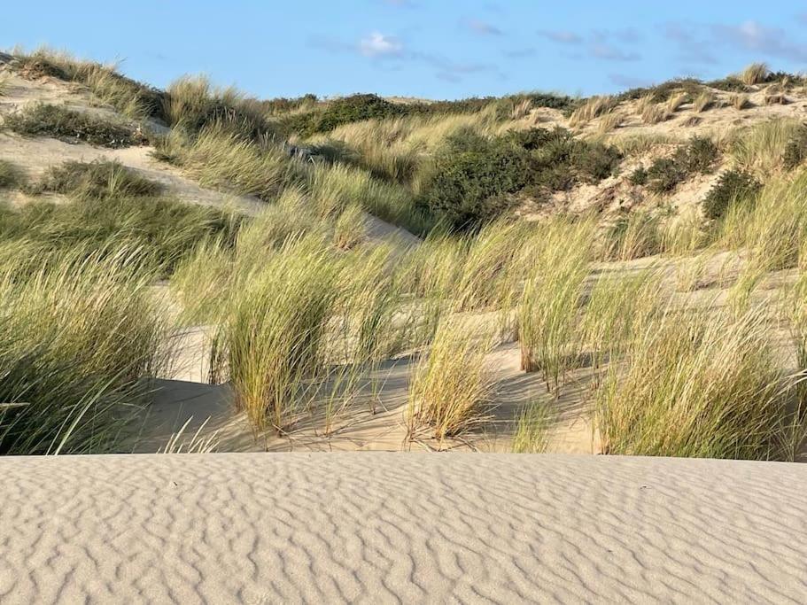 Charmante Maison Individuelle Proche Du Touquet Cucq Exteriér fotografie