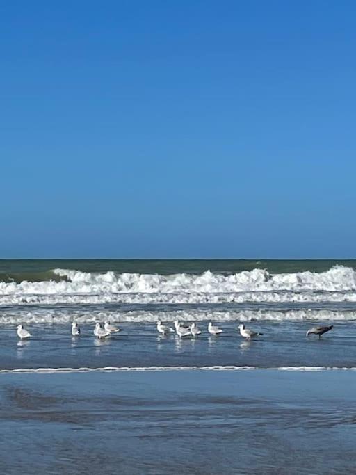 Charmante Maison Individuelle Proche Du Touquet Cucq Exteriér fotografie