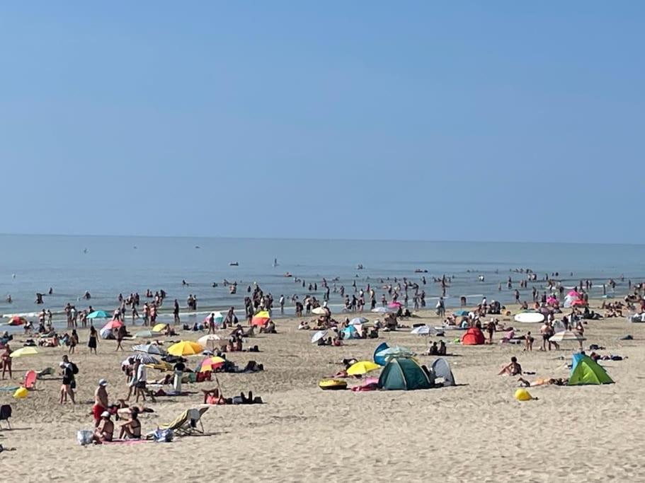 Charmante Maison Individuelle Proche Du Touquet Cucq Exteriér fotografie